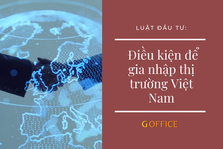 Luật đầu tư VN